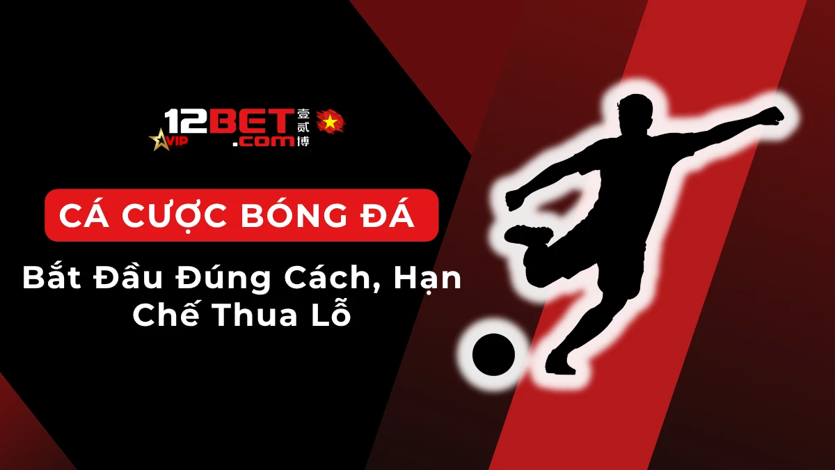 Chiến lược cá cược bóng đá cho người mới, hạn chế thua lỗ