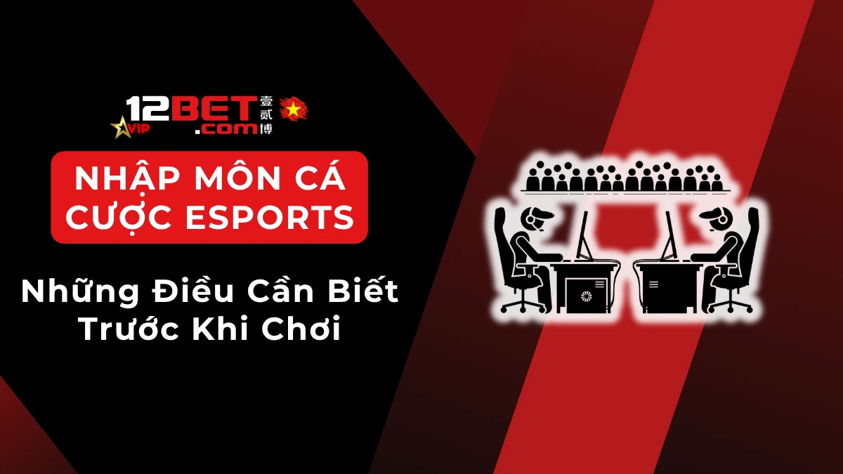 Cá cược esports: Điều người mới cần biết trước khi chơi